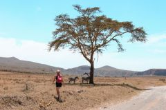 Fotoserie Kenia Zebras Safari