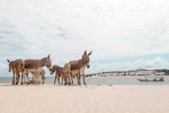 fotoserie-kenia-reisefotografie-140-von-161