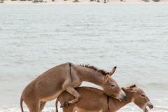 fotoserie-kenia-reisefotografie-141-von-161