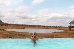 Fotoserie Kenia auf Safari im Pool