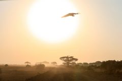 Fotoserie Kenia Safari Sonnenuntergang