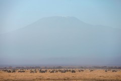 Fotoserie Kenia Amboseli Nationalpark