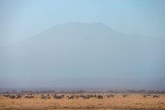 Fotoserie Kenia Amboseli Nationalpark