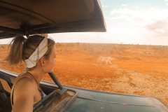 Fotoserie Kenia Löwe in Sicht