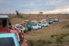 Fotoserie Kenia SAfariautos