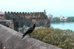 Fotoserie Kenia Fort Jesus