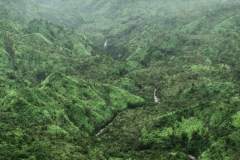 Fotoserie Hawaii grünes Tal